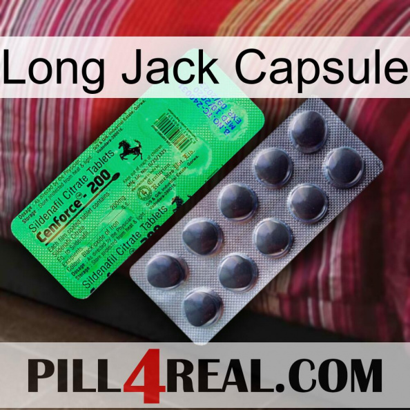 Long Jack Capsule new04.jpg